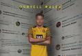 เสือเหลืองคอนเฟิร์มปิดดีล